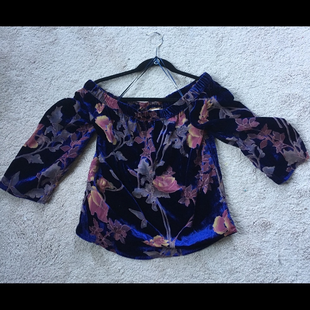Skies are Blue Velvet Top (Stitch Fix)